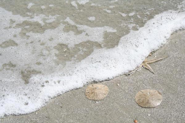 Kingston Cove 1 Villa Pulau Hilton Head Luaran gambar